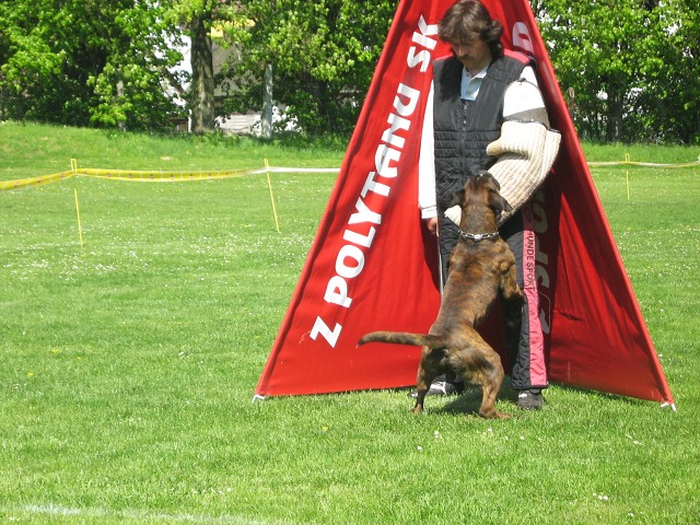www.atibox.net * www.euroboxer.eu * www.boxergenealogia.eu